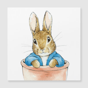 Peter the Rabbit Sitting in a Plant Pot Kaart