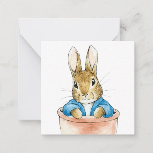 Peter the Rabbit Sitting in a Pot Notitiekaartje (Voorkant)
