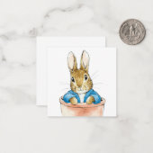 Peter the Rabbit Sitting in a Pot Notitiekaartje (Voorkant / Achterkant in situ)