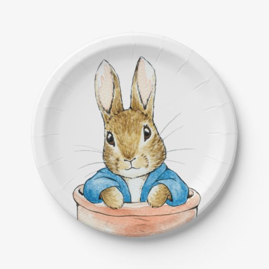 Peter the Rabbit Sitting in a Pot Papieren Bordje (Voorkant)