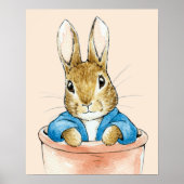 Peter the Rabbit Sitting in a Pot Poster (Voorkant)