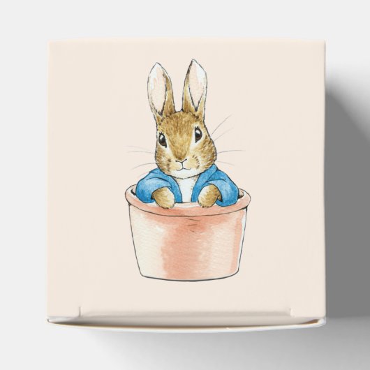 Peter the Rabbit Sitting in Plant Pot Bedankdoosjes (Bovenkant)