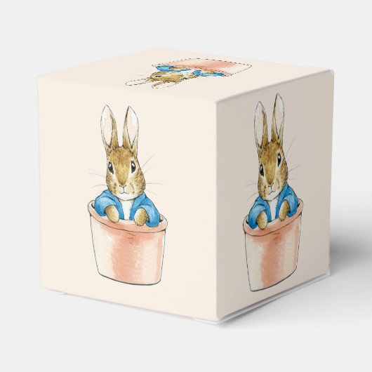 Peter the Rabbit Sitting in Plant Pot Bedankdoosjes (Achterkant)