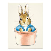 Peter the Rabbit Sitting in Plant Pot Foto Afdruk (Voorkant)