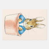 Peter the Rabbit Sitting in Plant Pot Inpakpapier Vel (Voorkant 2)