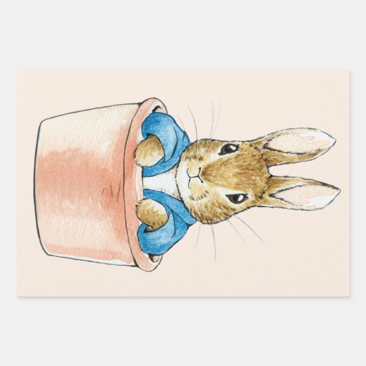 Peter the Rabbit Sitting in Plant Pot Inpakpapier Vel (Voorkant 2)