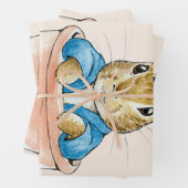 Peter the Rabbit Sitting in Plant Pot Inpakpapier Vel (In situ)