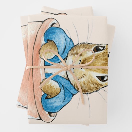 Peter the Rabbit Sitting in Plant Pot Inpakpapier Vel (In situ)