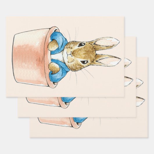 Peter the Rabbit Sitting in Plant Pot Inpakpapier Vel (Set)