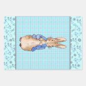 Peter the Rabbit Wrapping Paper (Voorkant 3)