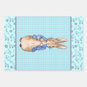 Peter the Rabbit Wrapping Paper (Voorkant 2)