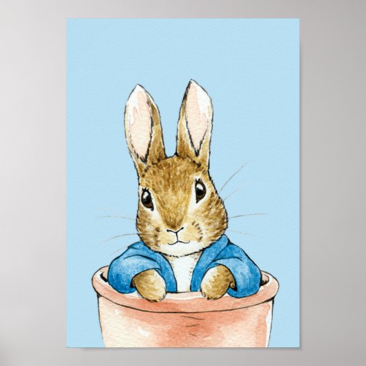 Peter zittend in een plantenpot poster (Voorkant)
