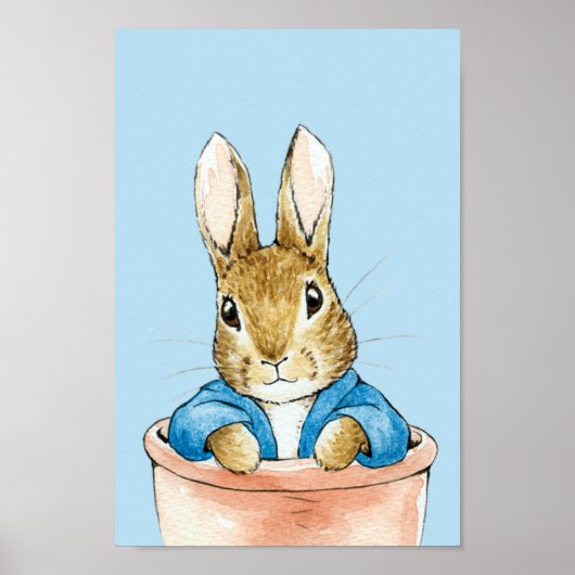 Peter zittend in een plantenpot poster (Voorkant)
