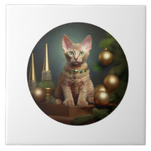 Peterbald kitten in de kerstsfeer