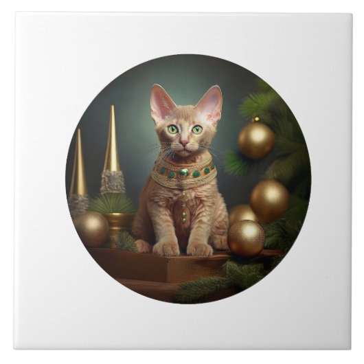 Peterbald kitten in de kerstsfeer tegeltje (Voorkant)