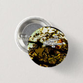 peterbd schrijft beroemde brieven ronde button 3,2 cm (Voorkant /achterkant)