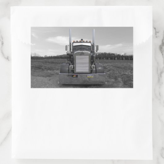 Peterbilt naaldneus b/w Stickers (Tas)