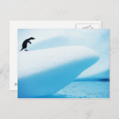 Petermann Island, Antarctica Briefkaart (Voorkant / Achterkant)