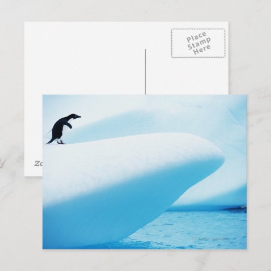 Petermann Island, Antarctica Briefkaart (Voorkant / Achterkant)