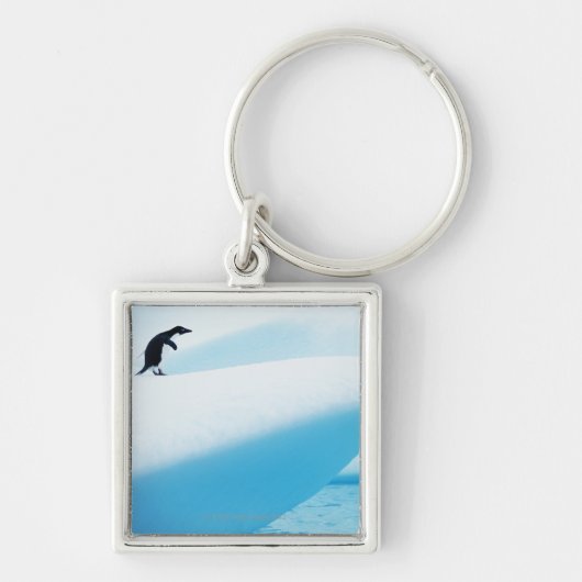 Petermann Island, Antarctica Sleutelhanger (Voorkant)