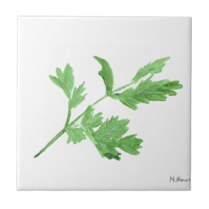 Peterselie aquarel kruiden groen botanische plante tegeltje