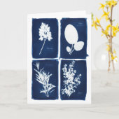 Peterselie de Wijze Spatie van Rosemary & van de Kaart (Gele Bloem)