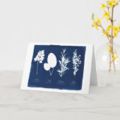 Peterselie de Wijze Spatie van Rosemary & van de Kaart (Gele Bloem)