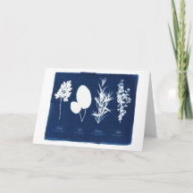 Peterselie de Wijze Spatie van Rosemary & van de