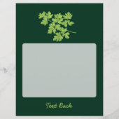 peterselie flyer (Achterkant)