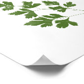 Peterselie-illustratie | Kruiden Keuken Wandkunst Poster (Hoek)