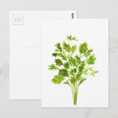 Peterselie kruiden Peterselie waterverf planten gr Briefkaart (Voorkant / Achterkant)