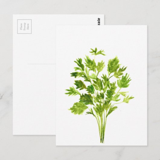 Peterselie kruiden Peterselie waterverf planten gr Briefkaart (Voorkant / Achterkant)