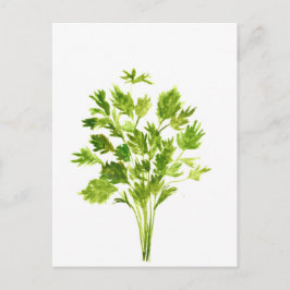 Peterselie kruiden Peterselie waterverf planten gr Briefkaart