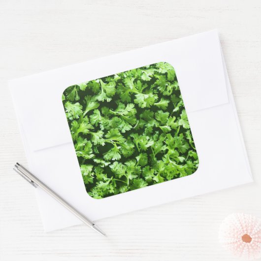 peterselie vierkante sticker (Envelop)