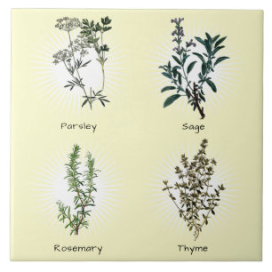 Petersely Sage Rosemary & Thyme Herbs Tegeltje