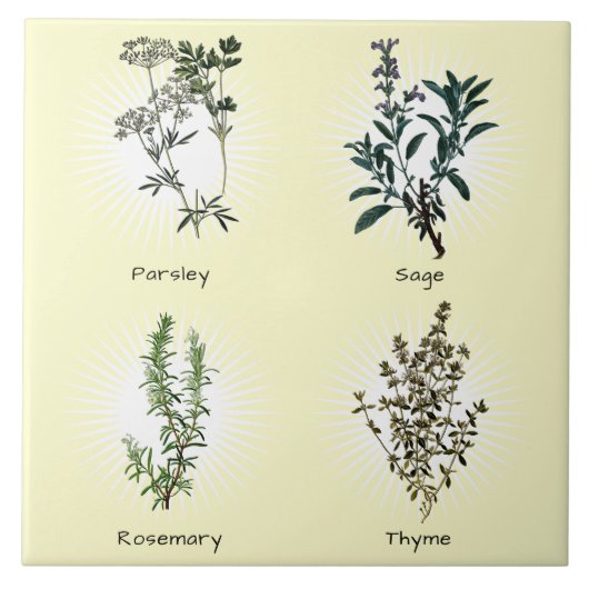 Petersely Sage Rosemary & Thyme Herbs Tegeltje (Voorkant)