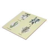 Petersely Sage Rosemary & Thyme Herbs Tegeltje (Zijkant)