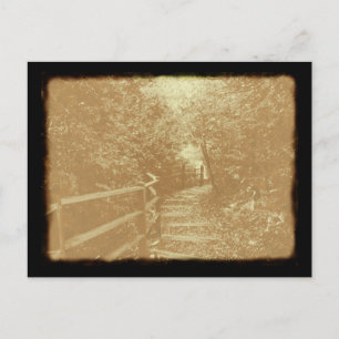 Peterson Park, Northport, Michigan - Briefkaart