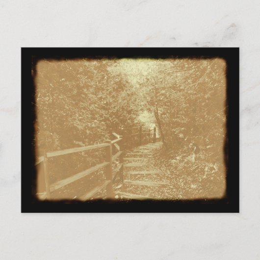 Peterson Park, Northport, Michigan - Briefkaart (Voorkant)