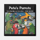 Pete's papegaaien - Exotische en inheemse magneet (Voorkant)