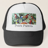 Pete's Parrots - Inheems Pet (Voorkant)