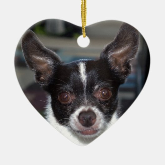 Petey de Chihuahua Keramisch Ornament (Voorkant)