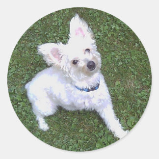 Petey de Pom-a-Poo Sticker