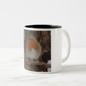 PETIRROJO TWEEKLEURIGE KOFFIEMOK (Voorkant rechts)