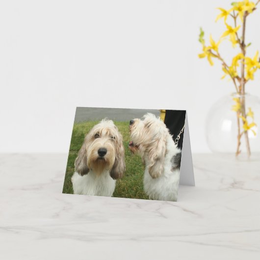 Petit Basette Griffon Vendeen Blank Kaart (Gele Bloem)