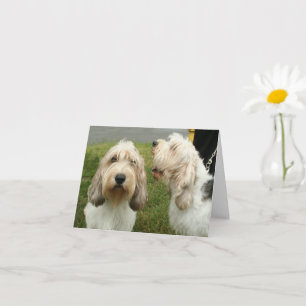 Petit Basette Griffon Vendeen Blank Kaart