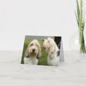 Petit Basette Griffon Vendeen Blank Kaart (Voorkant)