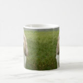 Petit Basette Griffon Vendeen Koffiemok (Center)