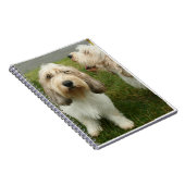 Petit Basette Griffon Vendeen Notitieboek (Rechterzijde)