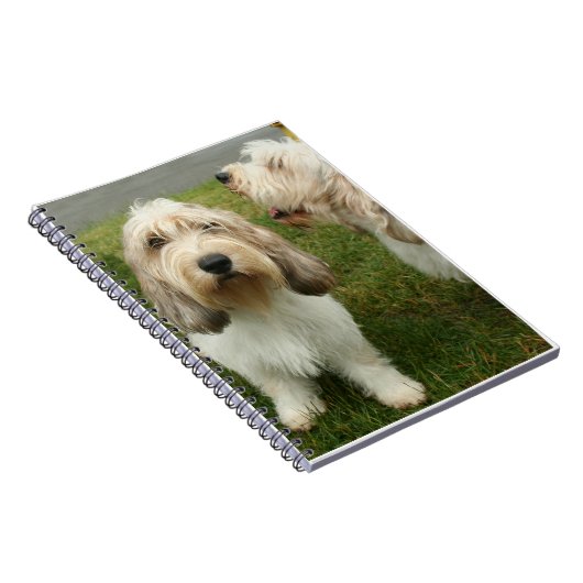 Petit Basette Griffon Vendeen Notitieboek (Rechterzijde)